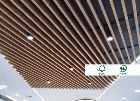 istockphoto 1993241606 2048x2048 fsc2