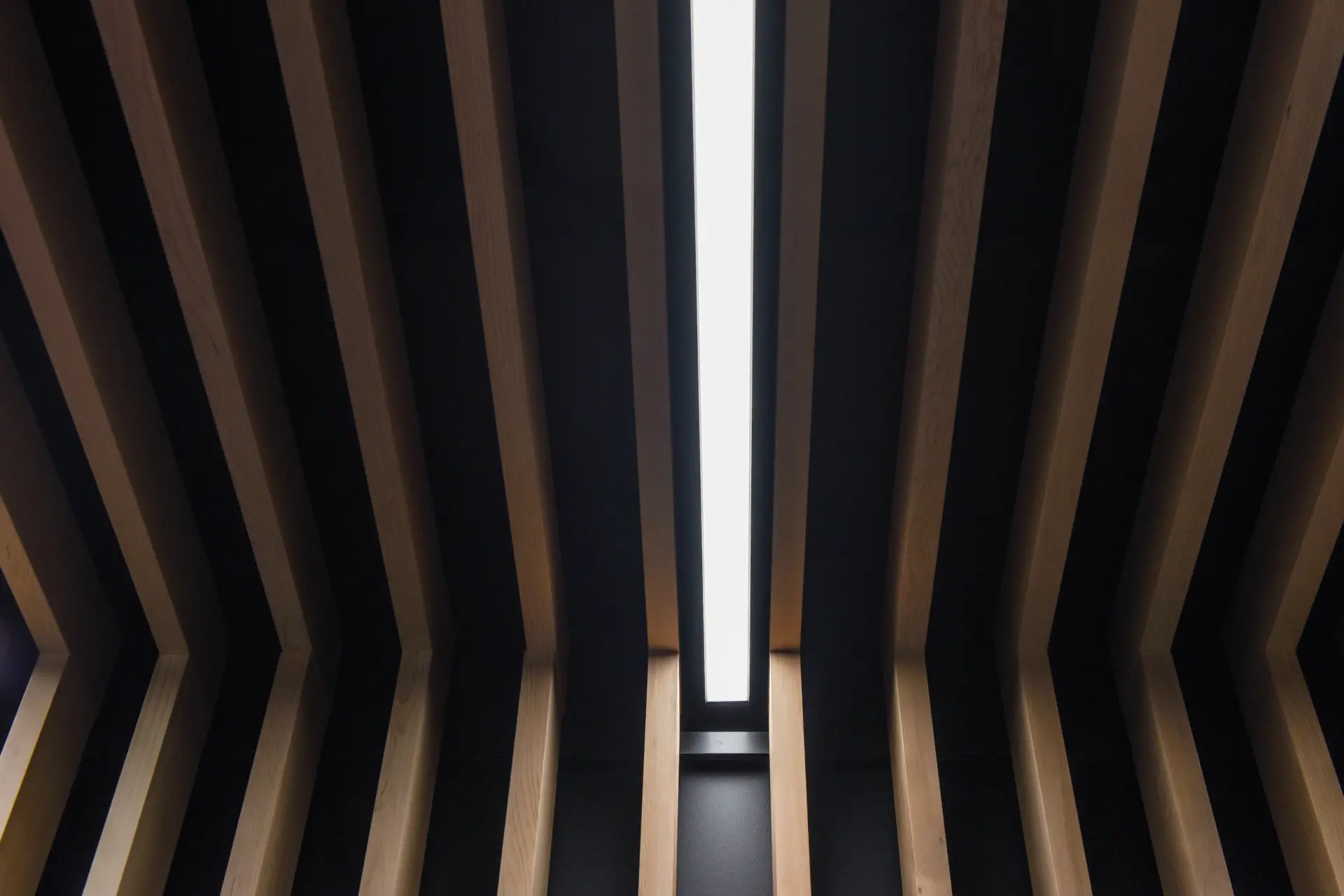 lights